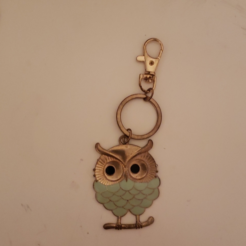 Blue owl keychain